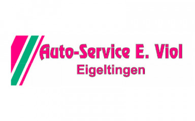 Auto-Service-Viol